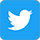 Twitter Logo
